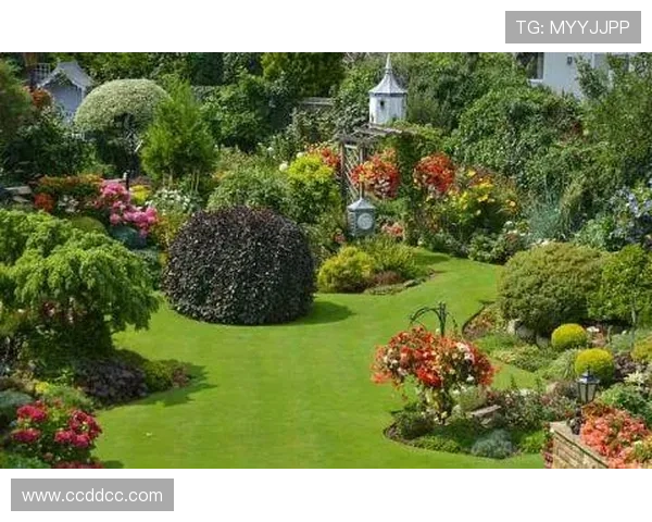 海牛主场声光电升级 草坪状态最佳